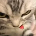 ^。｡^