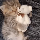 single Discord server icon