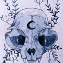 EVERGREEN - art market Discord Server Icon