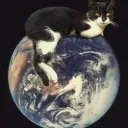 . kitcat . discord icon