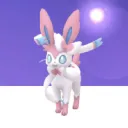 わめのサーバー