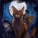 Warriors: Moonlight Star RP