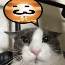 bomv cat Discord Server Icon