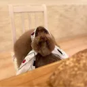 catwizard's sewer