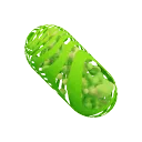 Greenpill Network