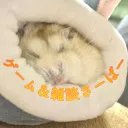 ゲーム＆雑談さーばー!!!