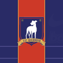 AFC Richmond Fan Club Server Icon