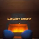 Marmoset Monkeys 2