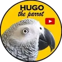 Hugo the Parrot
