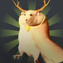 ÜFOC Official