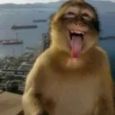 People.  Discord Server Icon