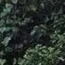 SavageJacoby121's Dungeon