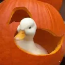 quack