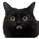 QQQQ Discord Server Icon
