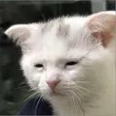Utorak007 yo
