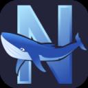 Nexus Studio - #1 Studio MCVN icon