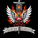 PolscyHusarze