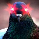 The LazerPigeon Community