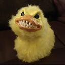 DUCCY CULT Discord Server Icon