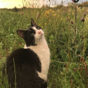 The Greenhouse Discord server icon