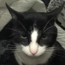 GOOFY GOOBERS [REVAMPING] Discord Server Icon