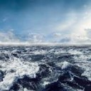 Marine Biology Studies