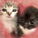 4 funsies Discord server icon