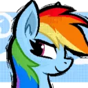 Dashie's Playground