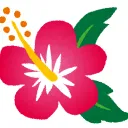 Hibiscus Server