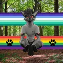 🐺La planète de Loup🐺