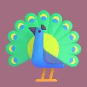 Aerokai 🦚