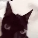 TILT