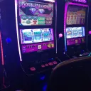  𝚜𝚝𝚊𝚛𝚍𝚞𝚜𝚝 𝚌𝚊𝚜𝚒𝚗𝚘 Discord Server Icon