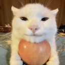 poppy's programming paradise avatar