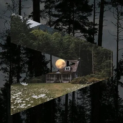 poppy's programming paradise banner