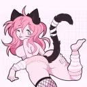kitty litter
