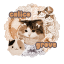 ✿ ┈ SANRIO FUNHOUSE! ...