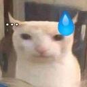    Artisan Genius    Discord Server Icon