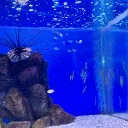 〜恋愛会議〜