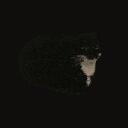 Fans Gatunos Discord Server Icon