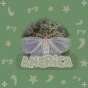 the white house Discord Server Icon