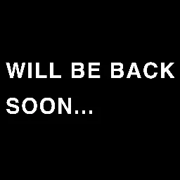 Will be back soon... — мониторинг Discord сервера, статистика и рейтинг