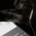 Knøwn Discord Server Icon