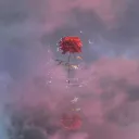 Butterfly Trading Server's icon