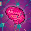 Elite Minds Institute