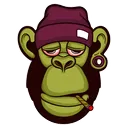 Chill Primate
