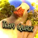 𝐓𝐞𝐚𝐦 𝐐𝐮𝐚𝐜𝐤 𓅰