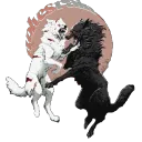𝐖𝐎𝐋𝐕𝐄𝐒 𝐑𝐀𝐈𝐍