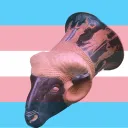 Rasenna Etruscan Polytheism Discord Server Icon