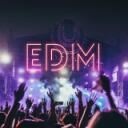 Melodic EDM Discovery Discord Server Icon